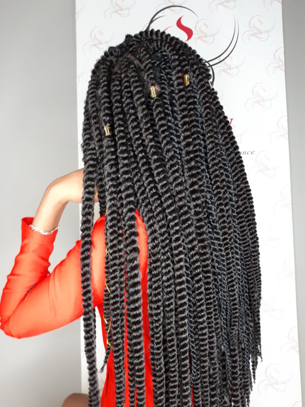 photos de tresses rastas