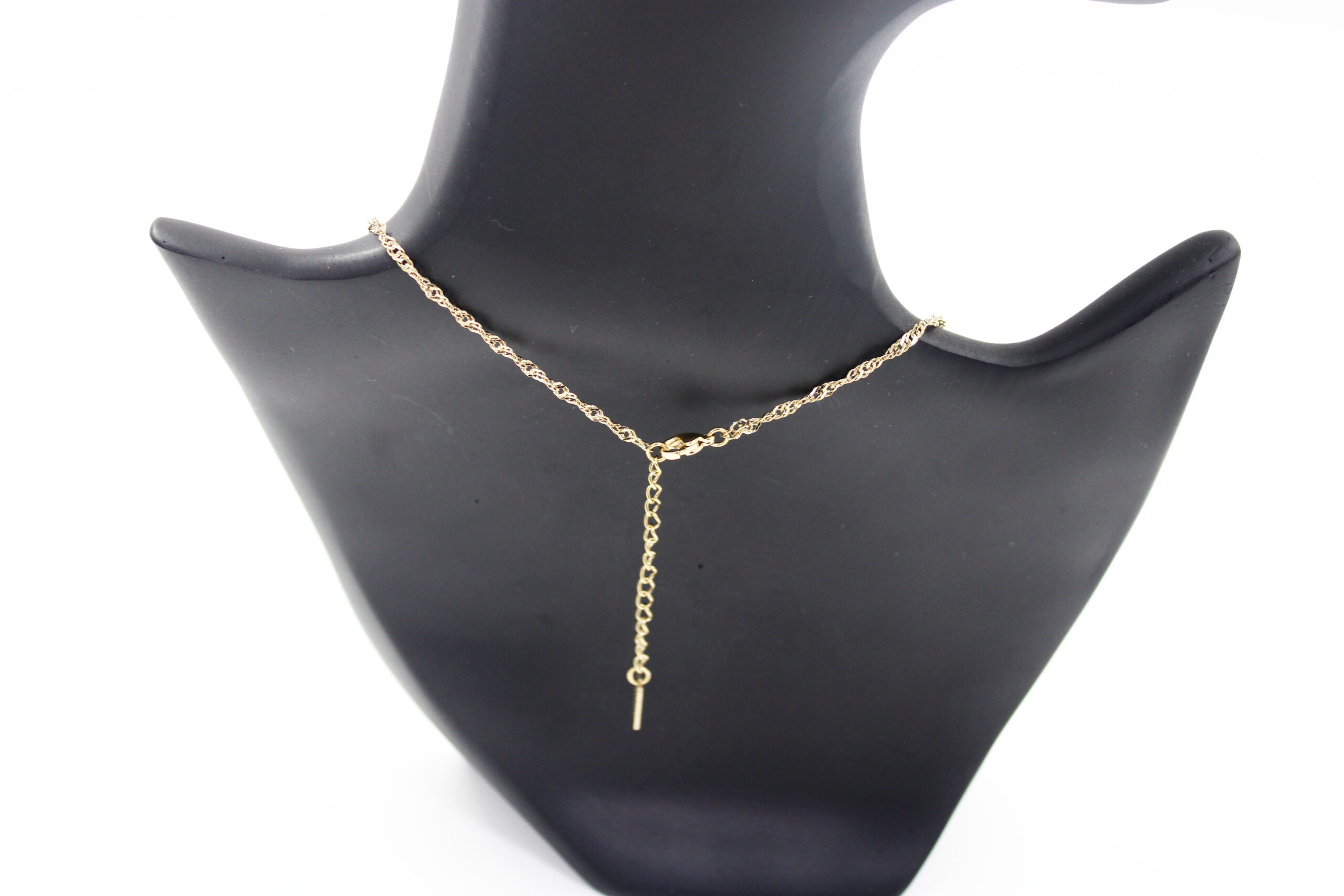 Chaine en acier inoxydable