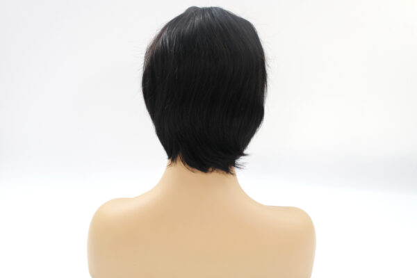 Perruque frange wig